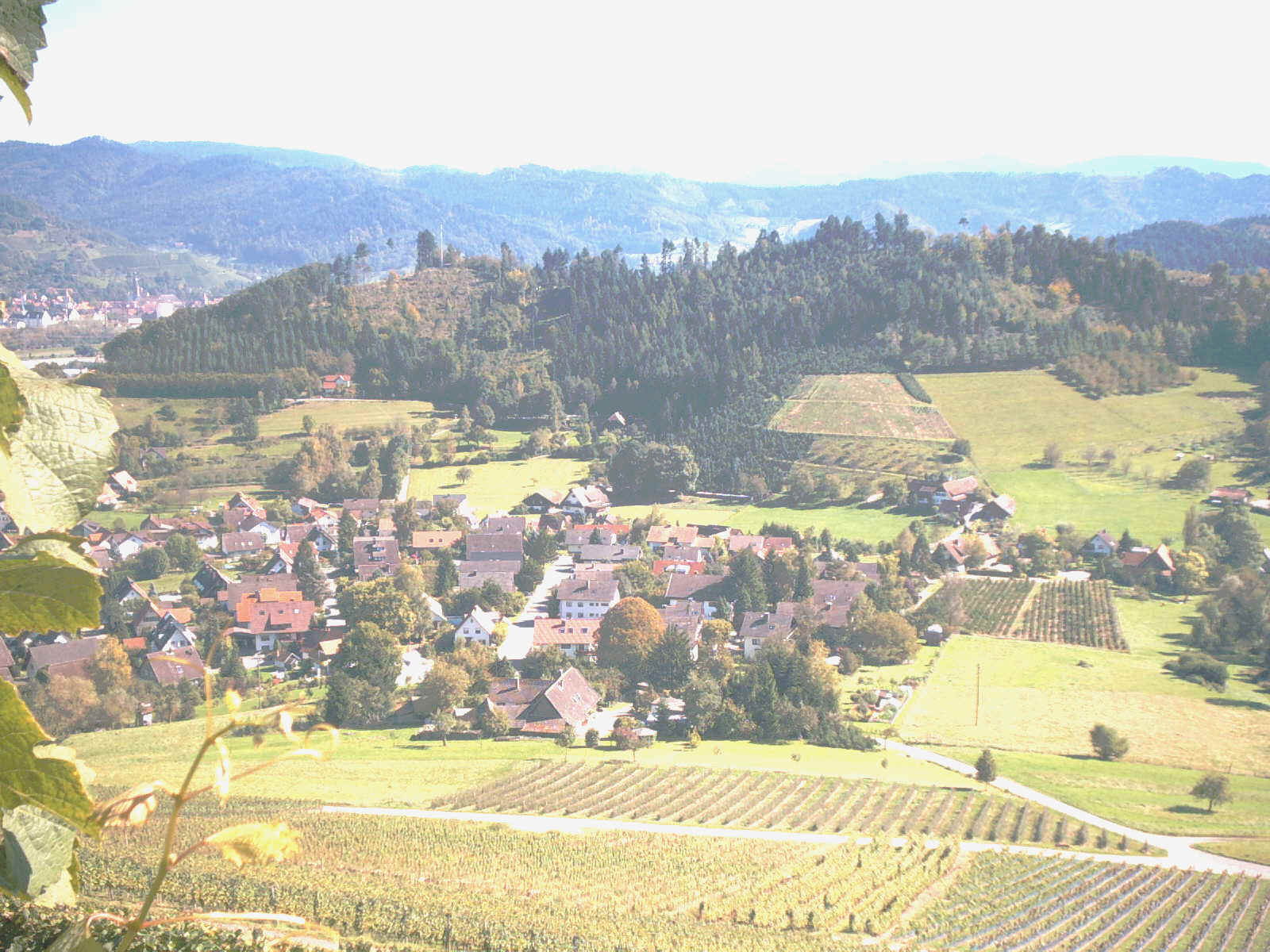 PICT0059.JPG (249344 Byte)