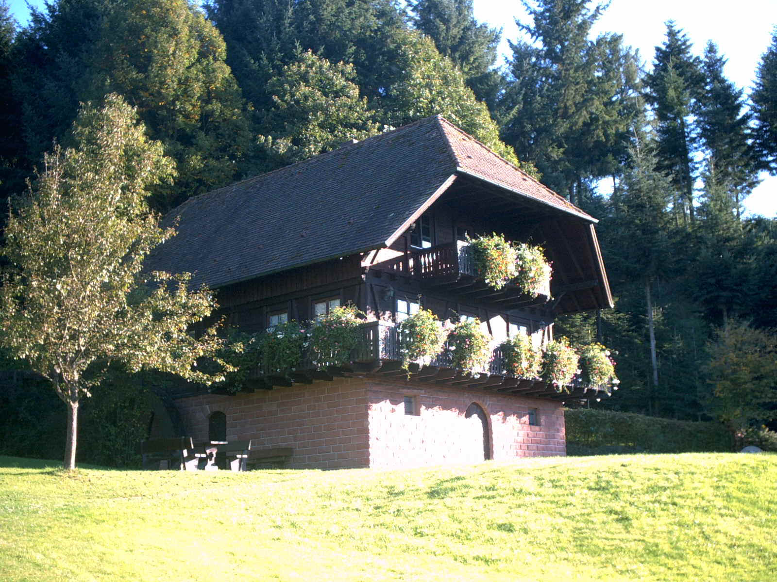 PICT0062.JPG (246784 Byte)