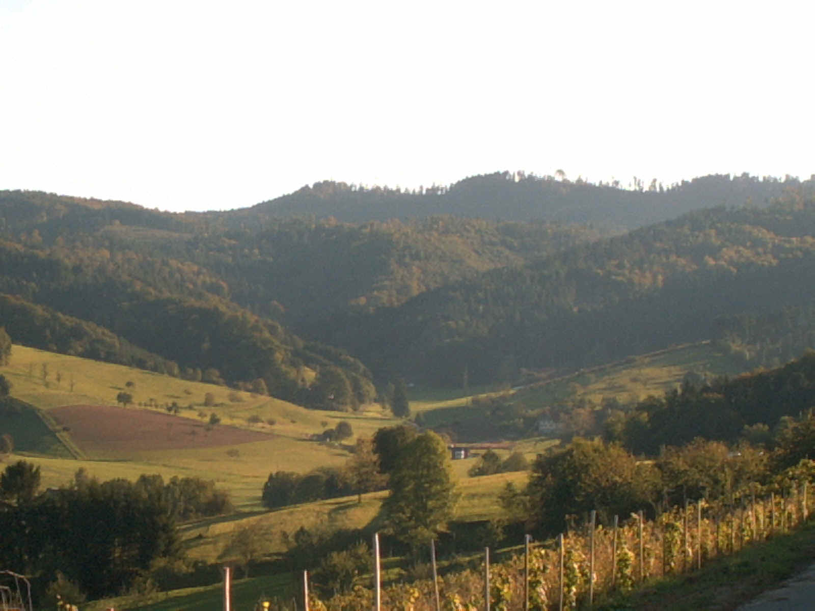 PICT0074.JPG (247232 Byte)